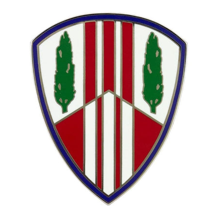 369th Sustainment Brigade Combat Service Identification Badge on a white background