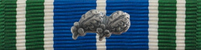 Army Achievement Ribbon