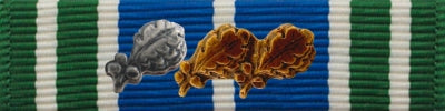 Army Achievement Ribbon