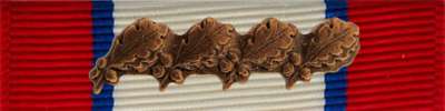 Distinguished Service Ribbon
