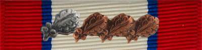 Distinguished Service Ribbon