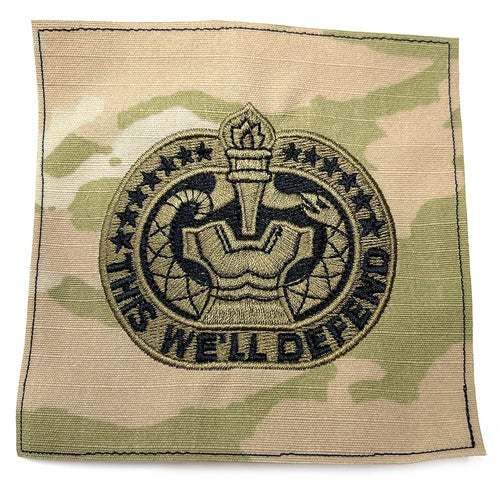 Army Drill Sergeant Badge OCP Sew-on Patch