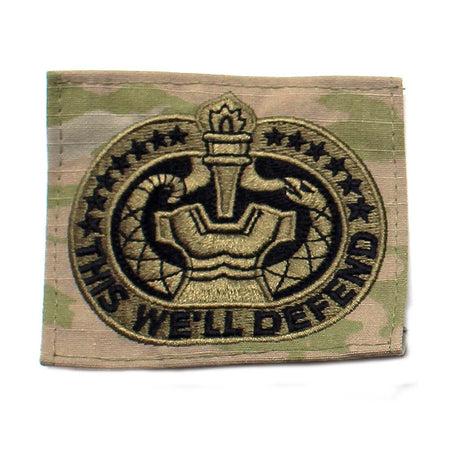 Army Drill Sergeant Badge OCP Sew-on Patch