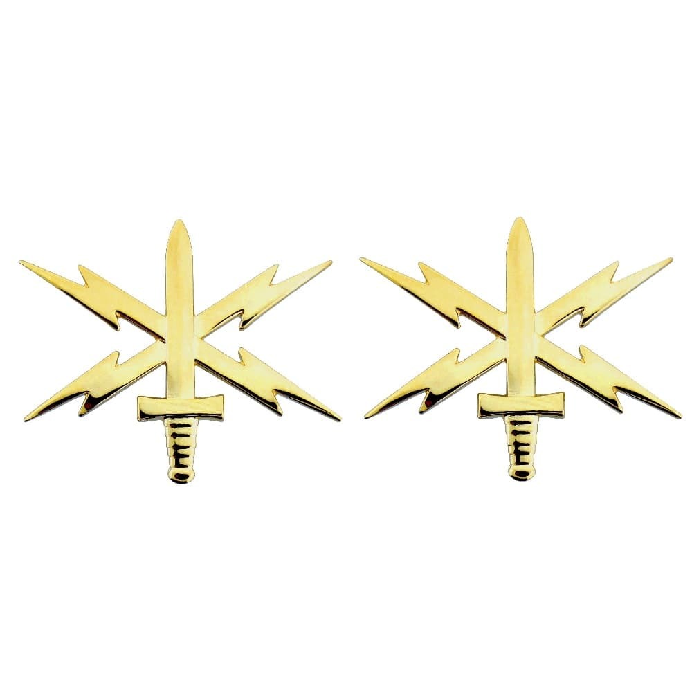 Army Officer Cyber Warfare Branch of Service Insignia on a white background