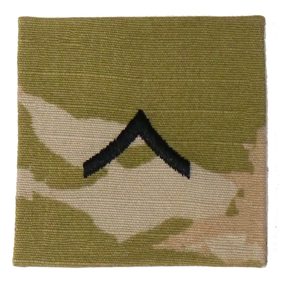Army Private PVT Sew-On Rank Patch 2x2 Scorpion W2