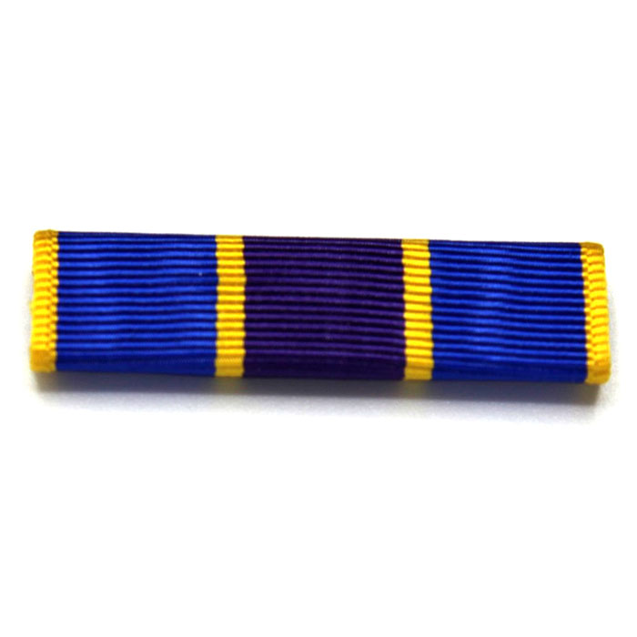 New York State Counterdrug Service Ribbon with horizontal stripes of royal blue, dark purple, and yellow, finished with yellow borders on the left and right, shown on a plain white background.