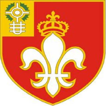graphic version of 12th Field Artillery Regiment DUI