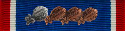 Distinguished Service Cross Ribbon