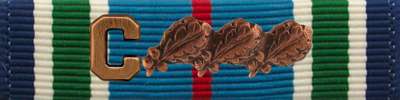 Distinguished Service Cross