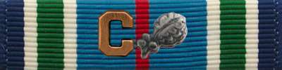 Distinguished Service Cross