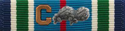 Distinguished Service Cross