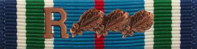 Distinguished Service Cross