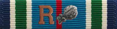 Distinguished Service Cross