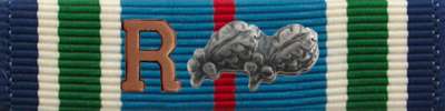 Distinguished Service Cross