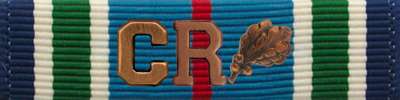 Distinguished Service Cross