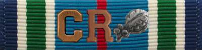 Distinguished Service Cross