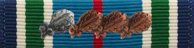 Distinguished Service Cross