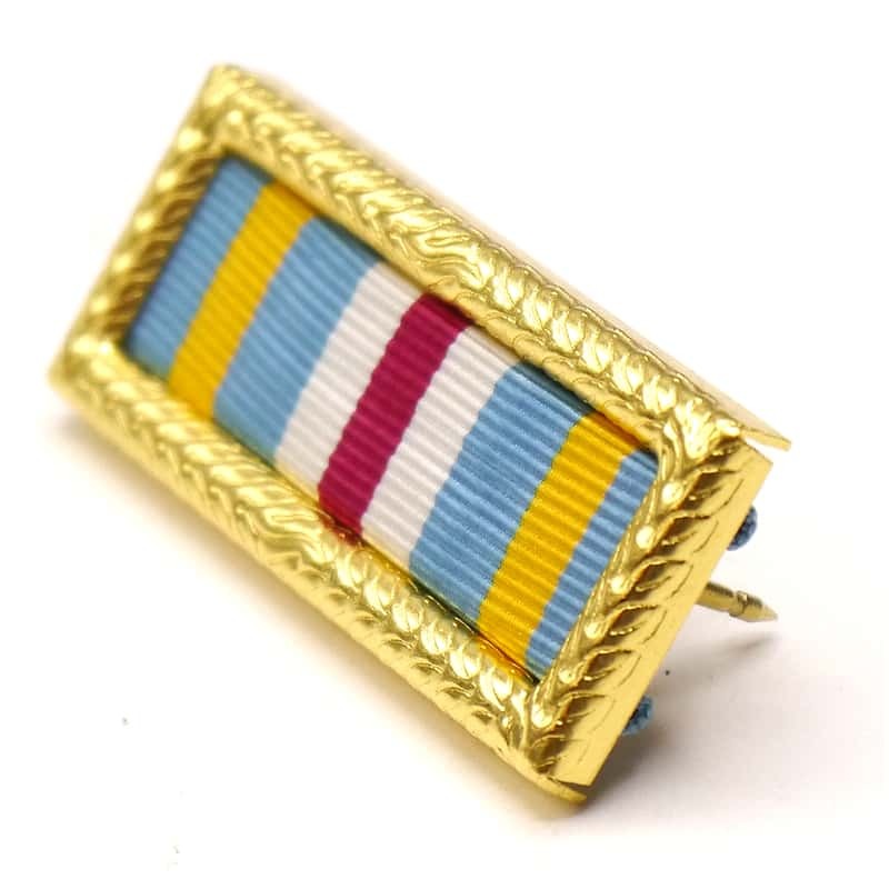 Joint Meritorious Unit Award Ribbon on a white background
