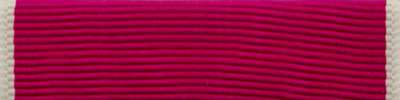 Legion of Merit Ribbon