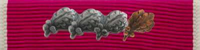 Legion of Merit Ribbon
