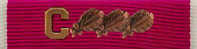 Legion of Merit Ribbon