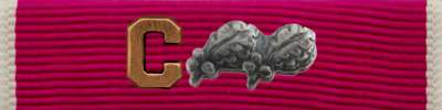 Legion of Merit Ribbon