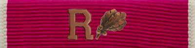 Legion of Merit Ribbon