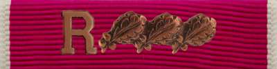Legion of Merit Ribbon