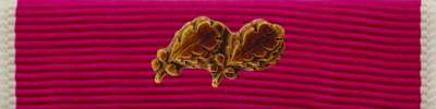 Legion of Merit Ribbon
