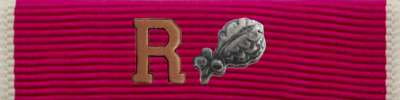Legion of Merit Ribbon