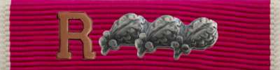 Legion of Merit Ribbon