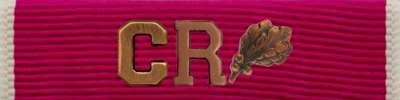 Legion of Merit Ribbon