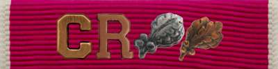 Legion of Merit Ribbon