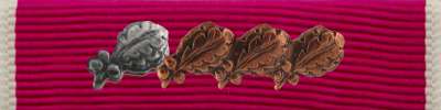 Legion of Merit Ribbon