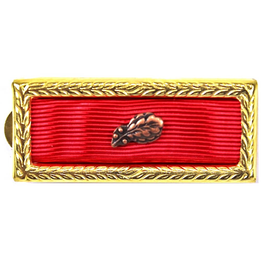 Meritorious Unit Citation Second Award on a white background