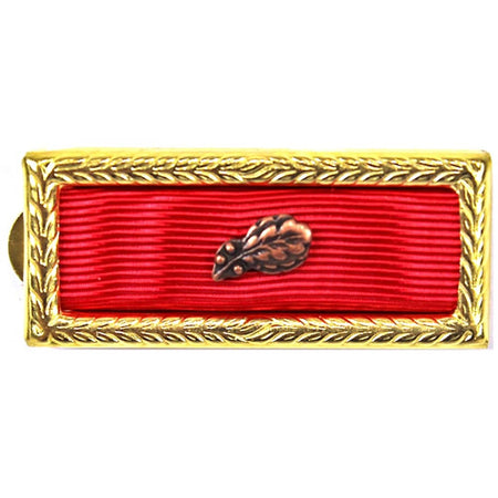 Meritorious Unit Citation Second Award on a white background