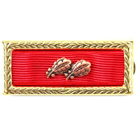 Meritorious Unit Citation 3rd Award on a white background
