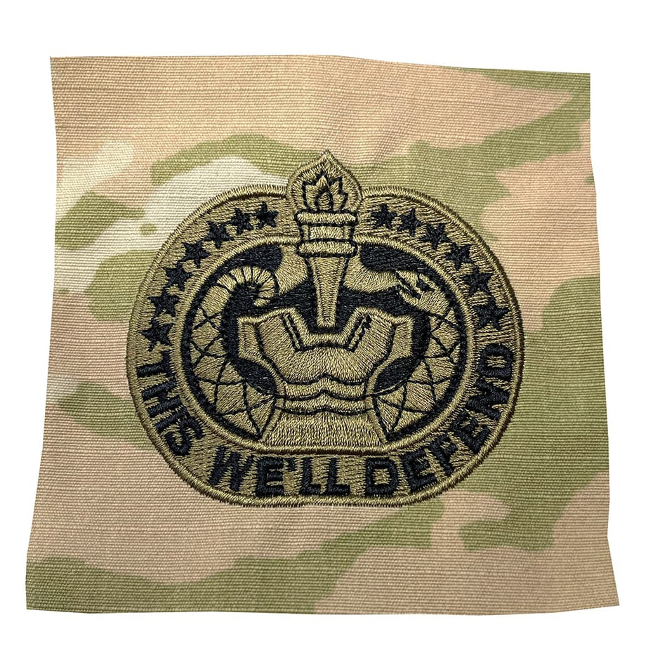 Army Drill Sergeant Badge with an embroidered design and text on a white background