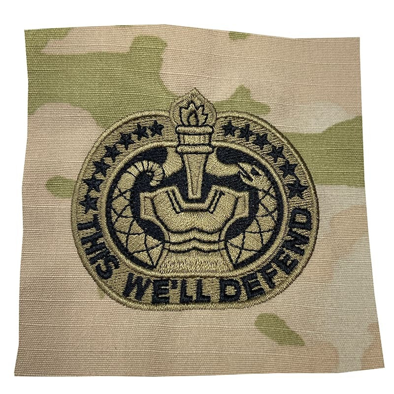 Army Drill Sergeant Badge with a design and text on a camouflage background