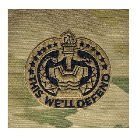 Army Drill Sergeant Badge patch on camouflage fabric with 'This We'll Defend' text