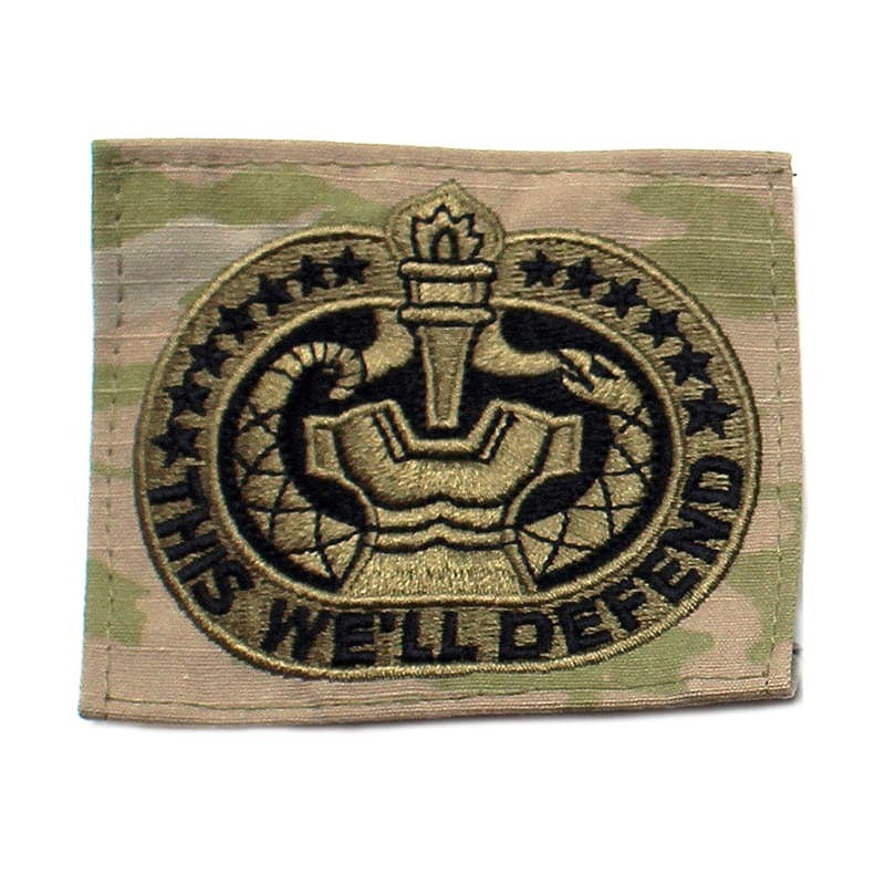 Army Drill Sergeant Badge and 'This We'll Defend' text on a white background
