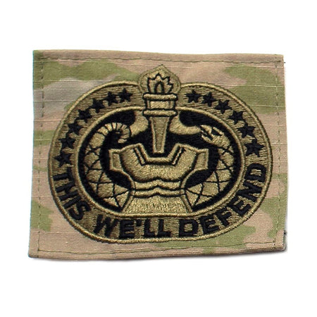 Army Drill Sergeant Badge and 'This We'll Defend' text on a white background