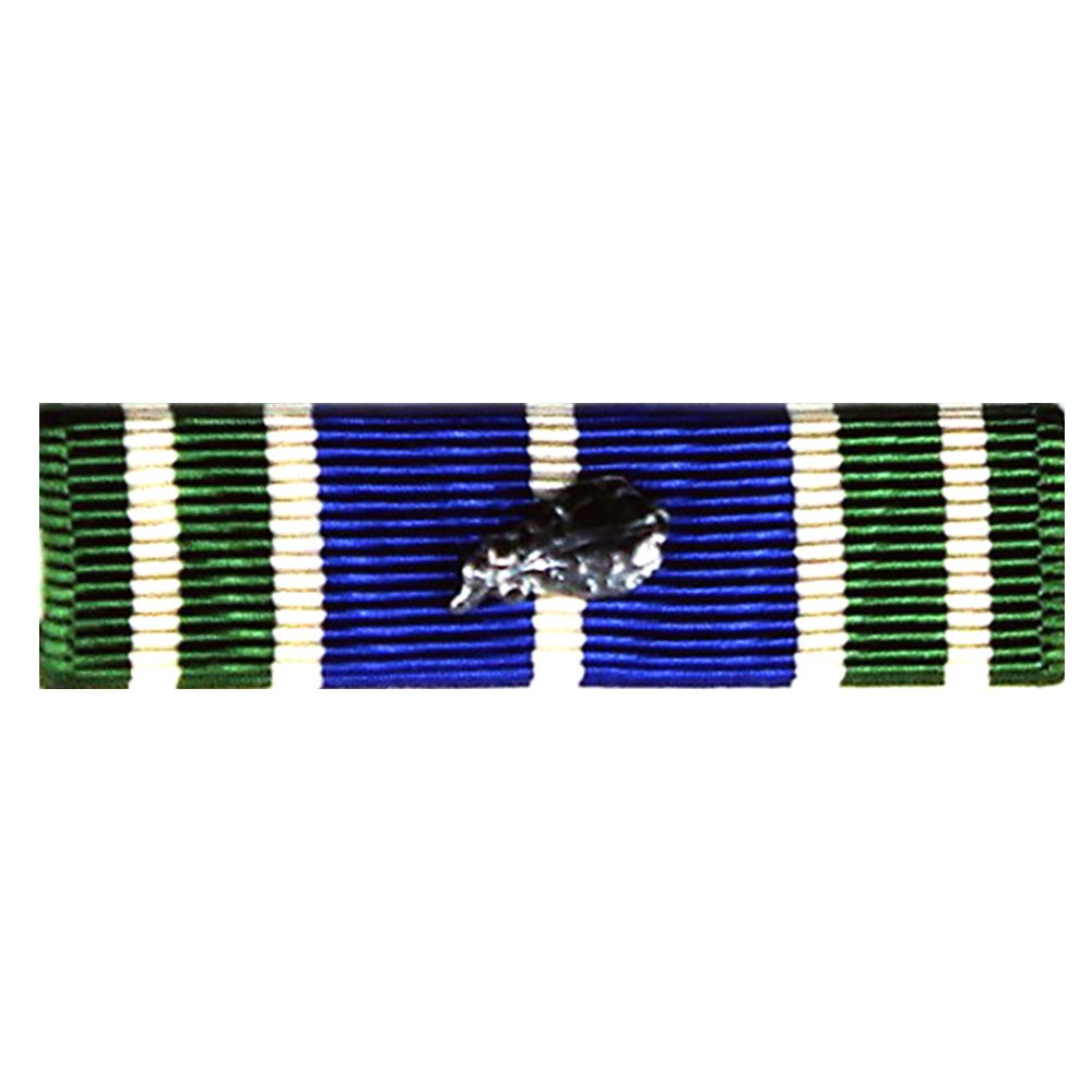 AAM ribbon with a silver leaf on a white background