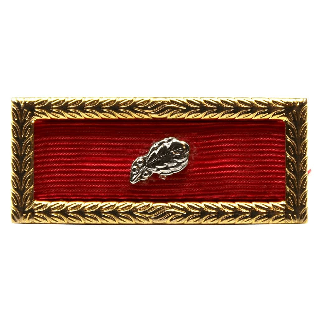 Meritorious Unit Citation 5th Award on a white background