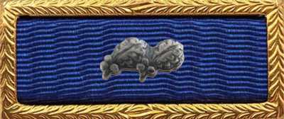 Presidential Unit Citation Rack Builder