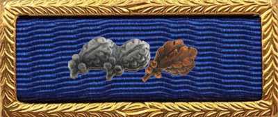 Presidential Unit Citation Rack Builder