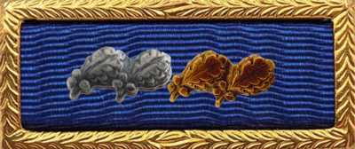 Presidential Unit Citation Rack Builder