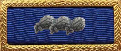 Presidential Unit Citation Rack Builder