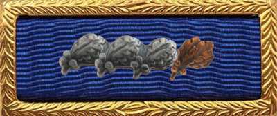 Presidential Unit Citation Rack Builder