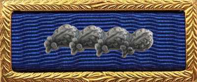 Presidential Unit Citation Rack Builder